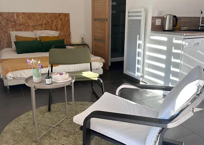 Chez Ambre Et Lulu - Centre Avec Piscine Millau